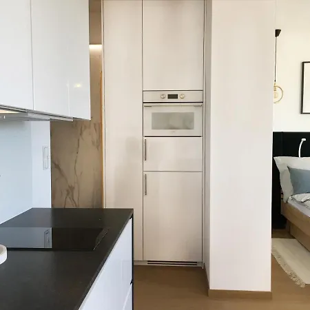 Z Garazem Apartment
